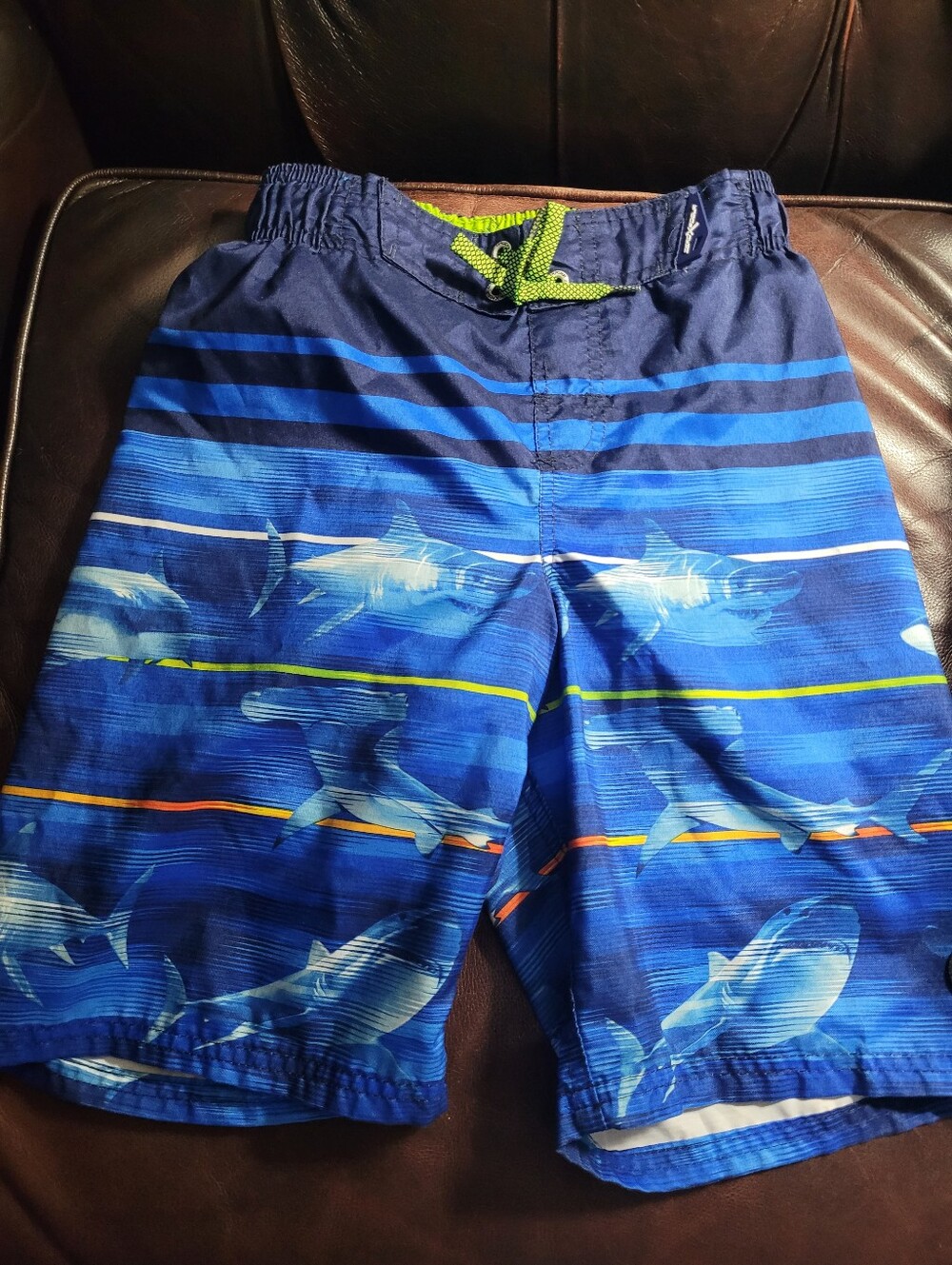 ZeroXposur brand boy's swim trunks featuring a blue shark graphic pattern